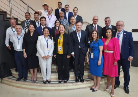 OLAMI-estructura-organica OLAMI-estructura-organica